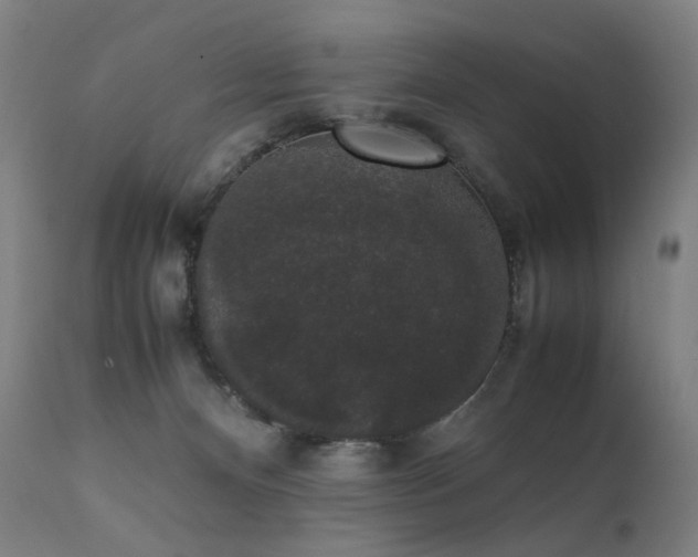 X0000111370128200907171208