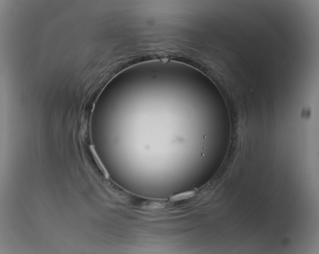 X0000111370129200907171208