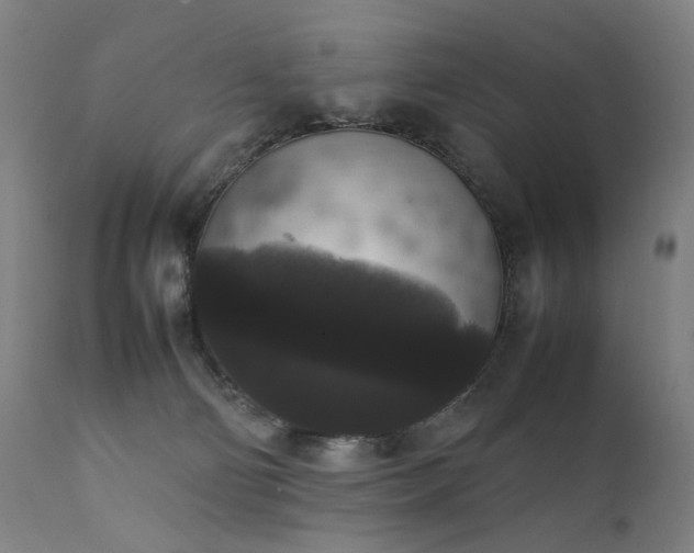 X0000111370130200907171207