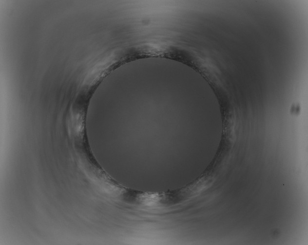 X0000111370131200907171207