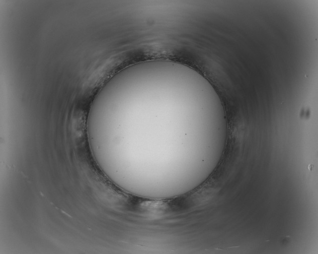 X0000111370133200907171207