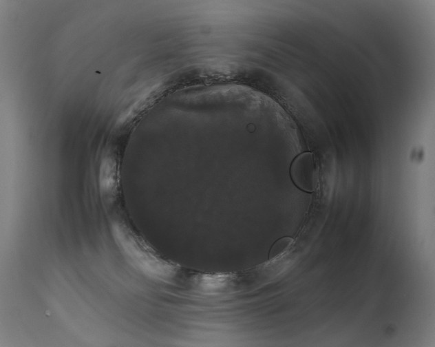 X0000111370134200907171207