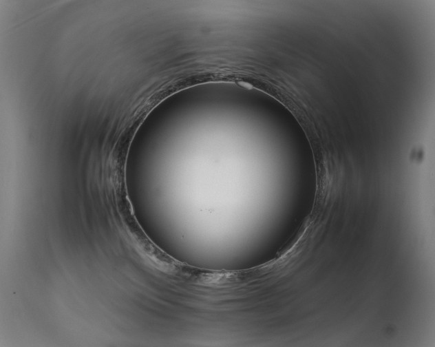 X0000111370136200907171207