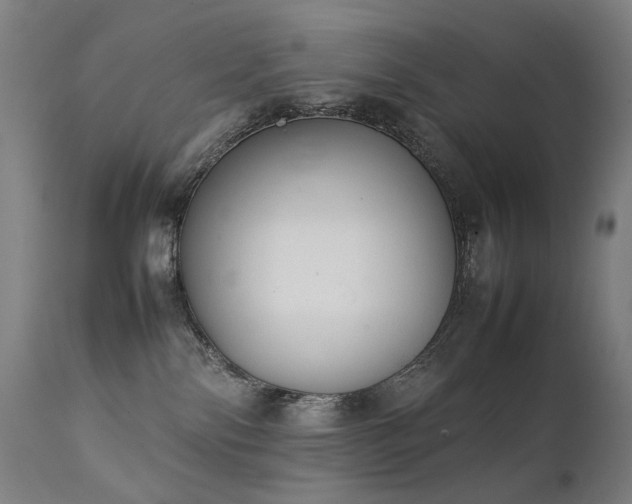 X0000111370138200907171207