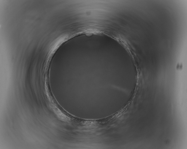 X0000111370145200907171207