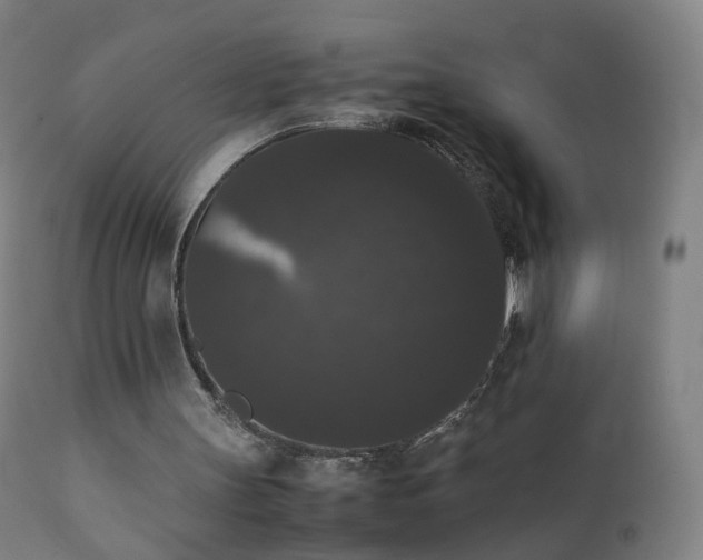 X0000111370147200907171207