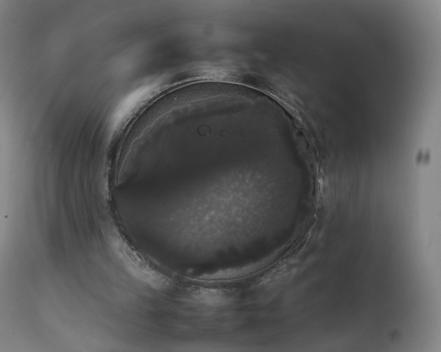 X0000111370149200907171207