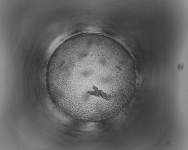 X0000111370151200907171207