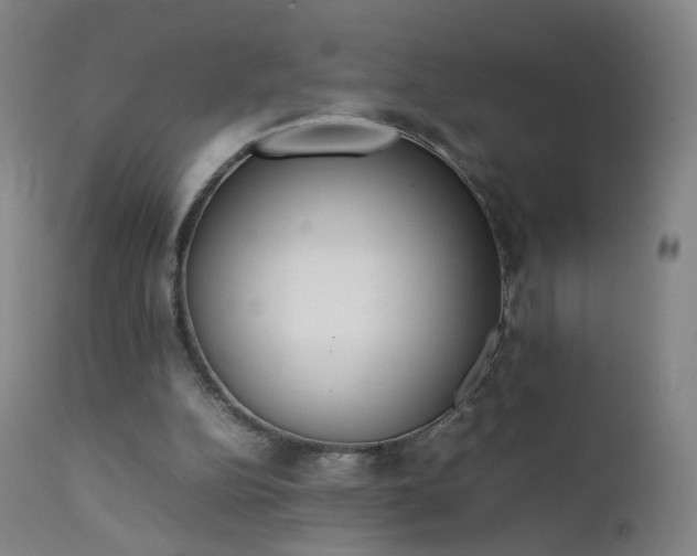 X0000111370152200907171207