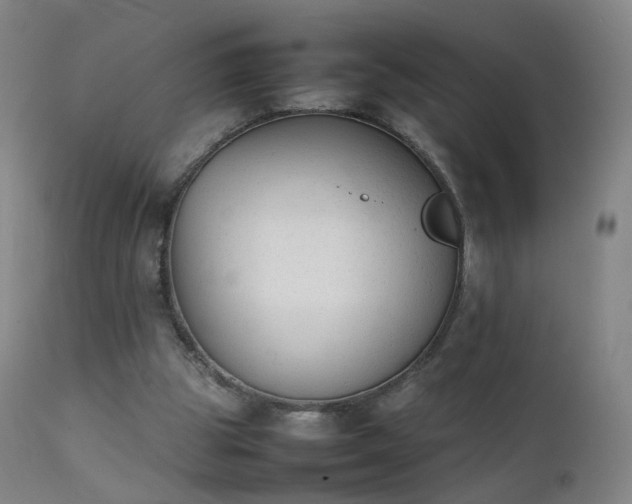 X0000111370153200907171207