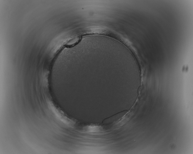 X0000111370154200907171207