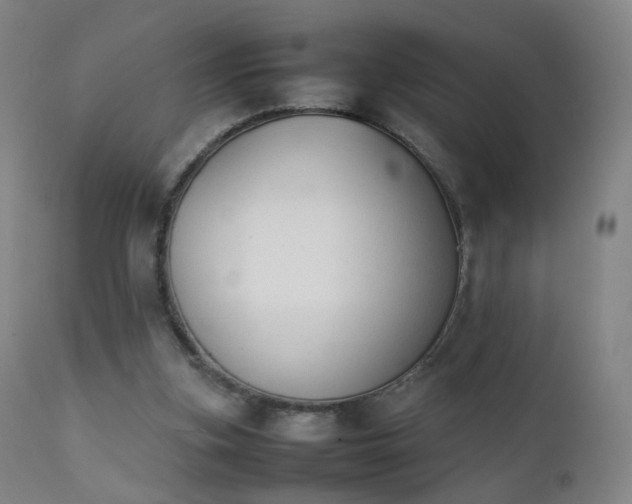 X0000111370155200907171207