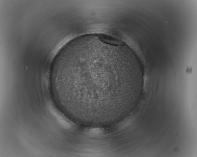 X0000111370156200907171207