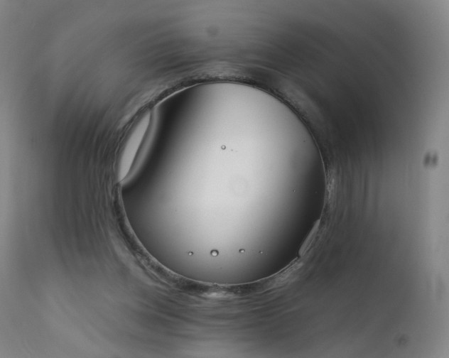 X0000111370158200907171207