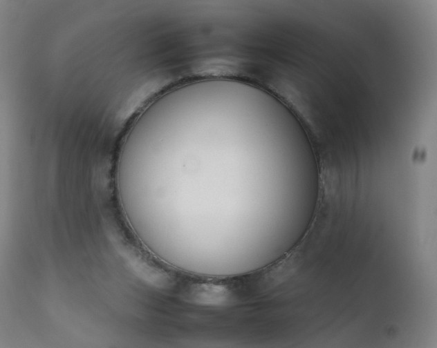 X0000111370159200907171207