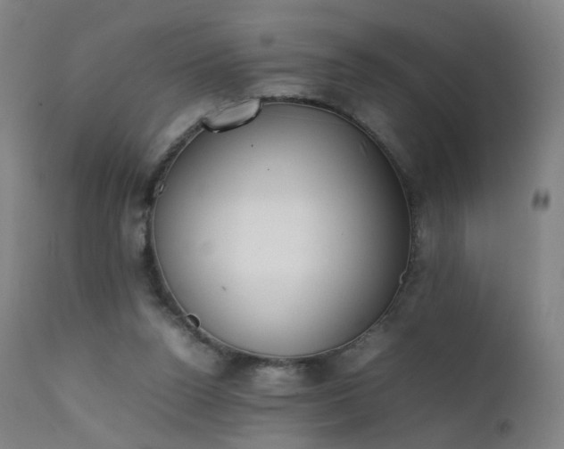 X0000111370160200907171207