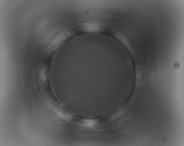 X0000111370161200907171207