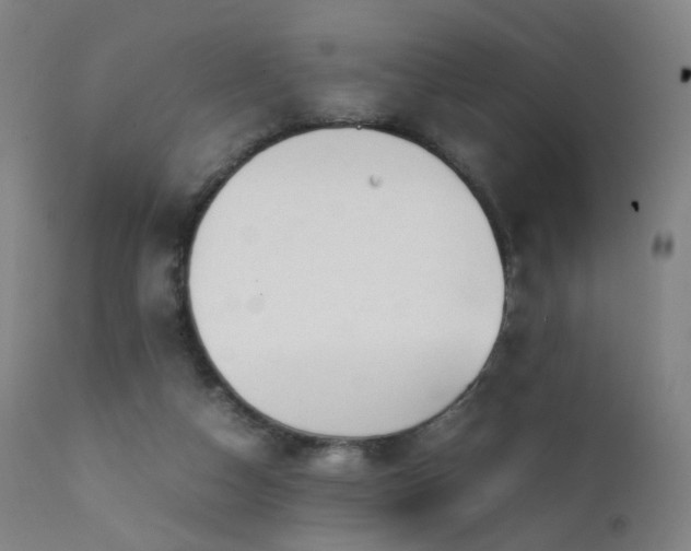 X0000111370162200907171207