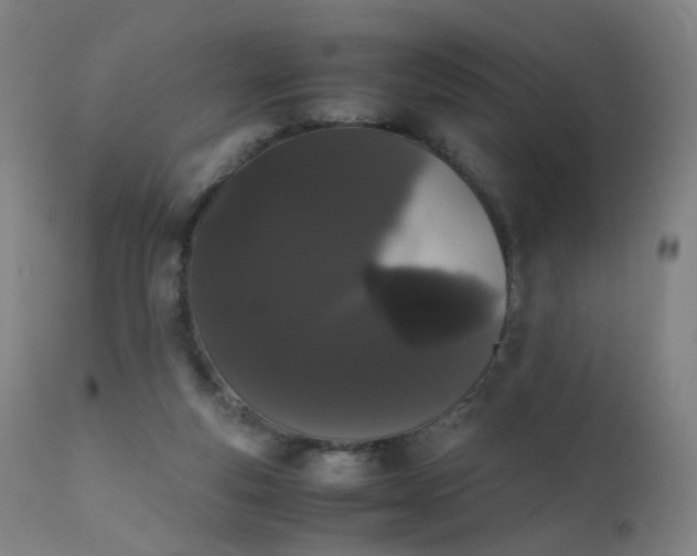 X0000111370163200907171207