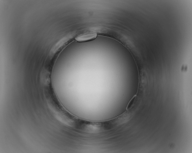 X0000111370164200907171207