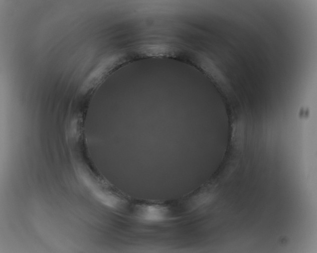 X0000111370165200907171207