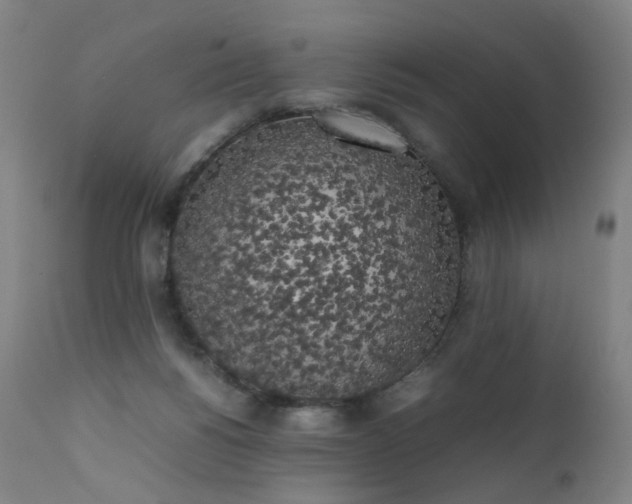 X0000111370168200907171207