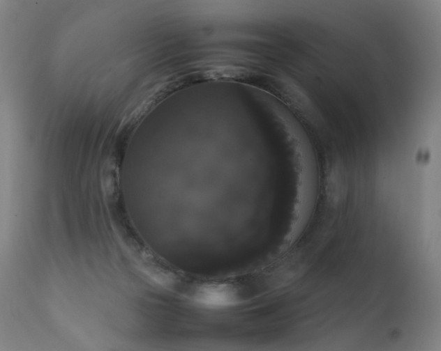 X0000111370169200907171207