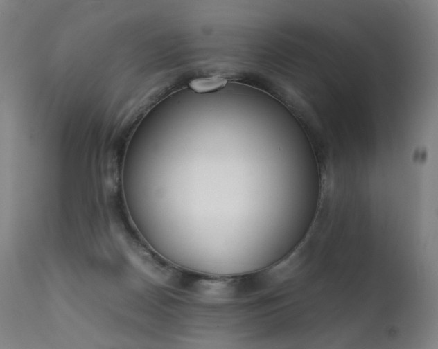 X0000111370170200907171207