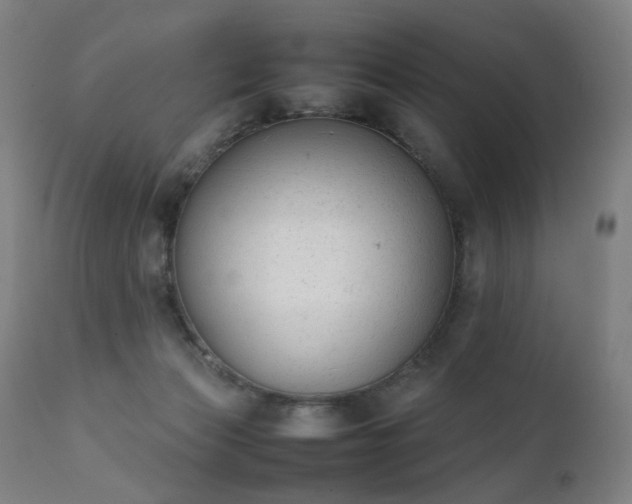 X0000111370173200907171207