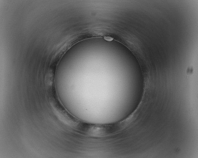 X0000111370174200907171207