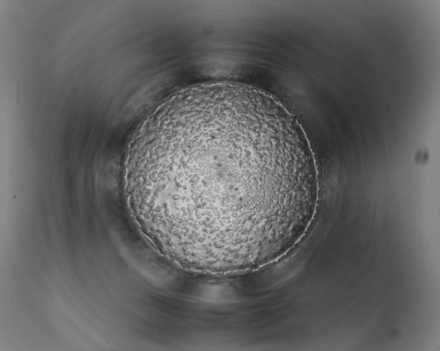 X0000111370175200907171207