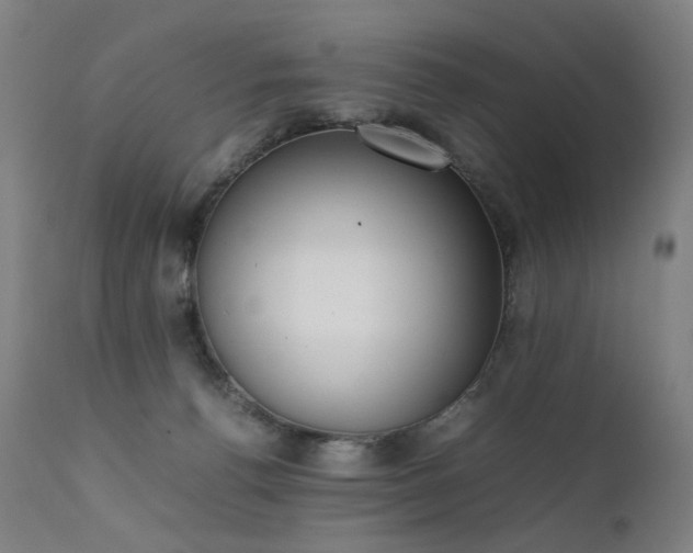 X0000111370176200907171207