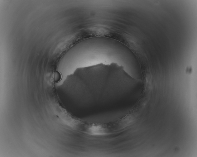 X0000111370177200907171207