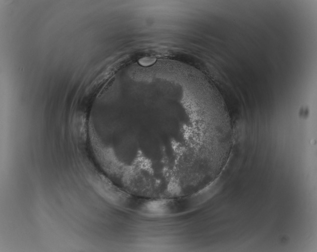 X0000111370178200907171207