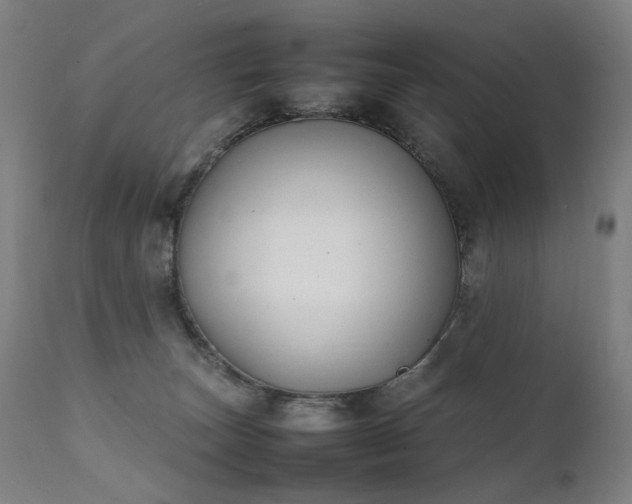 X0000111370179200907171207