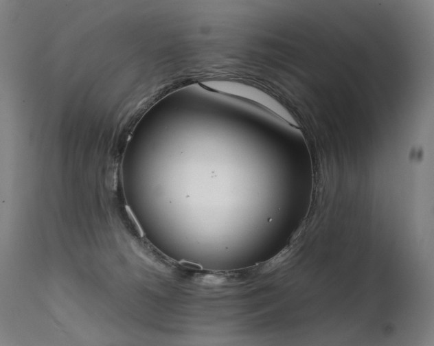 X0000111370180200907171207