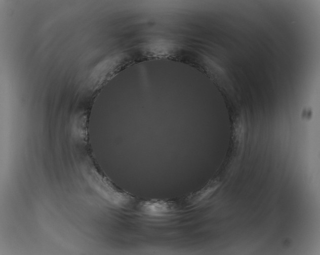 X0000111370181200907171207