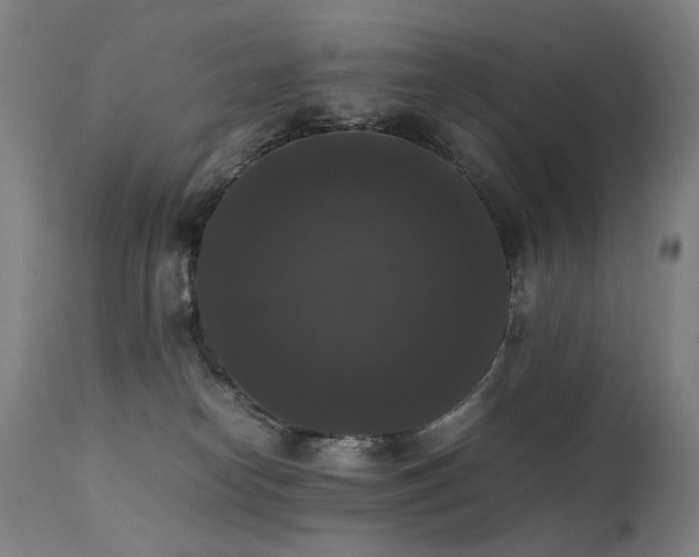 X0000111370182200907171207