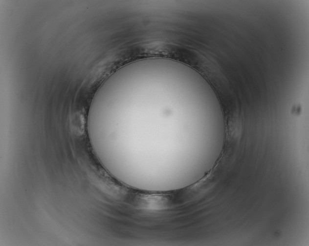 X0000111370183200907171207