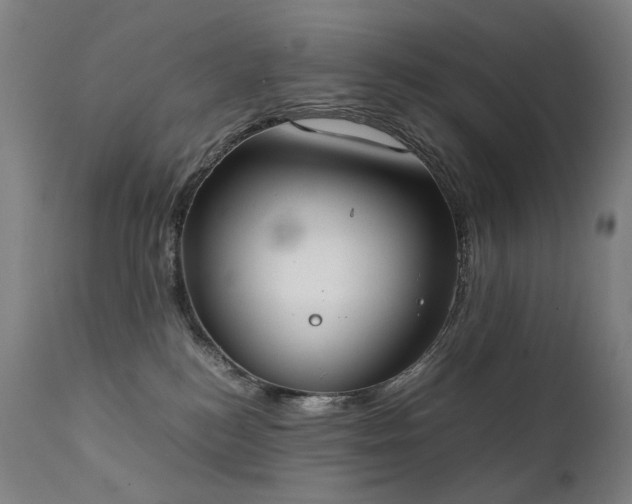 X0000111370184200907171207