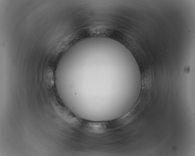 X0000111370187200907171207