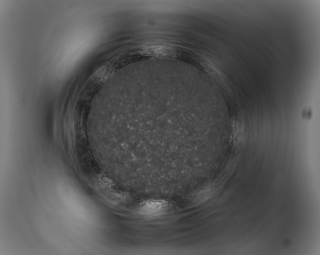 X0000111370189200907171207