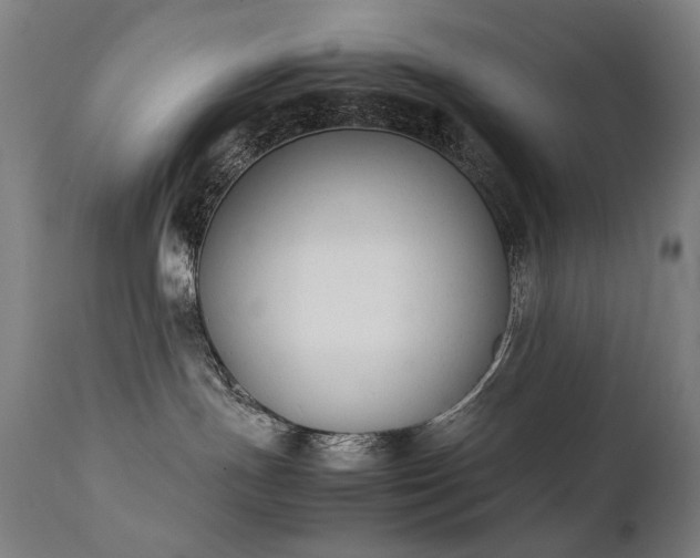 X0000111370191200907171207