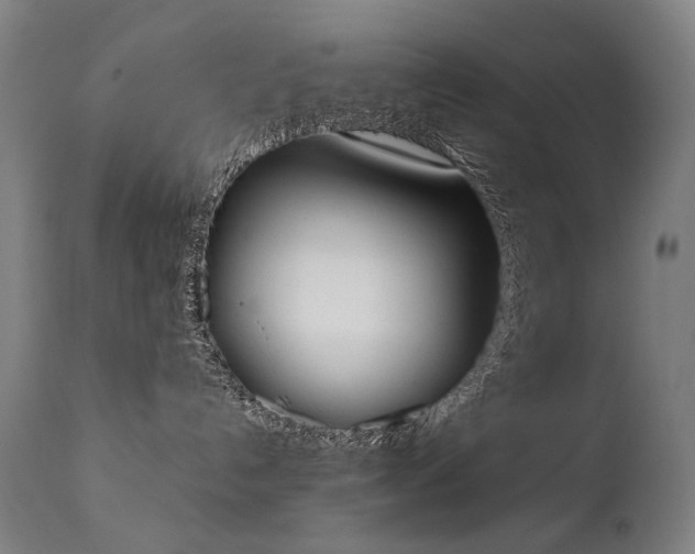 X0000111370192200907171207