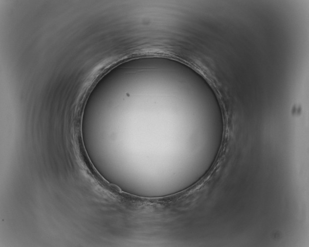 X0000111370193200907171207