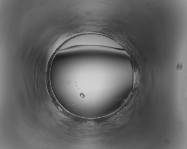 X0000111370195200907171207