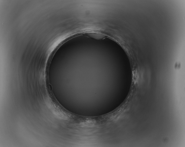 X0000111370196200907171207