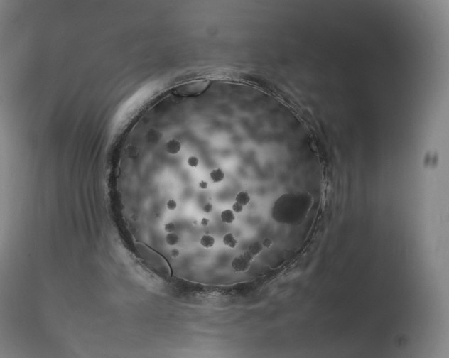 X0000111370197200907171207