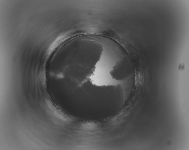 X0000111370198200907171207