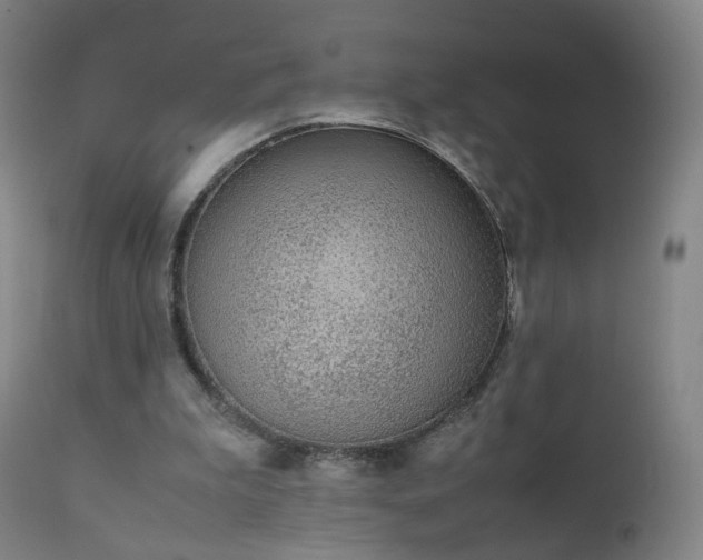 X0000111370199200907171207